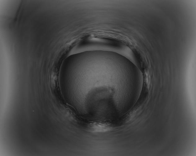 X0000085050235200703051424