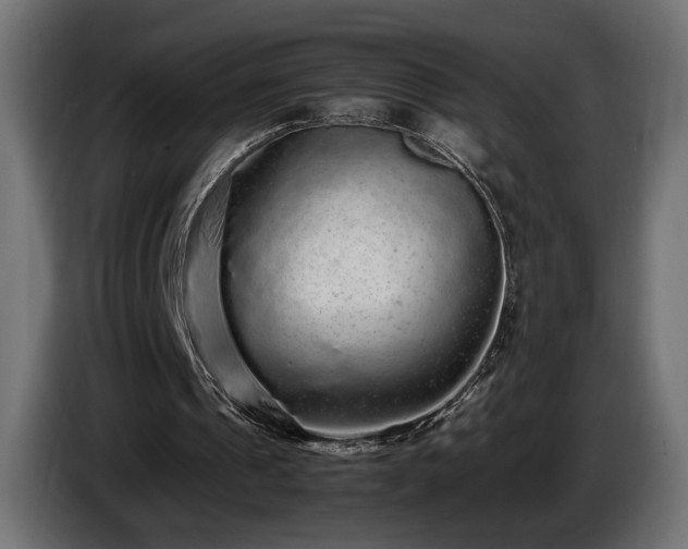 X0000085050241200703051423