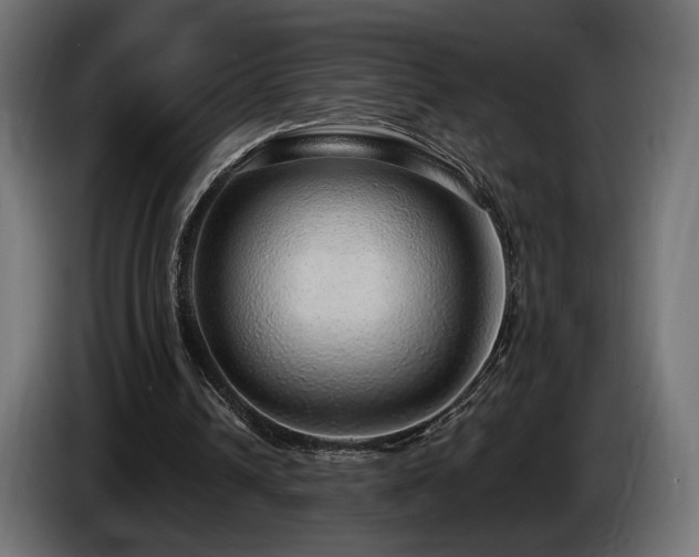 X0000085050242200703051423