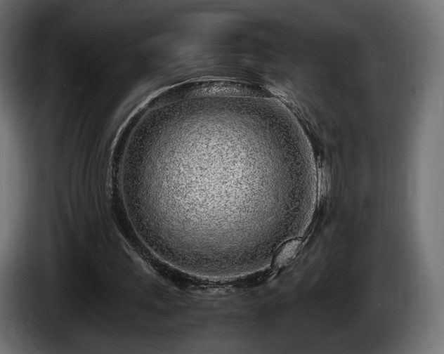 X0000085050243200703051423