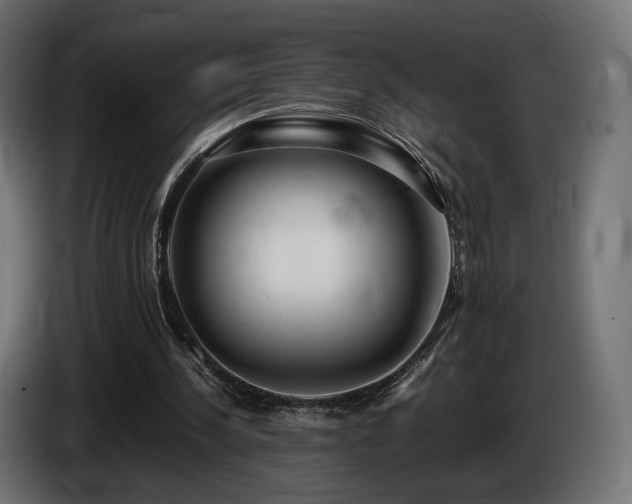 X0000085050244200703051423