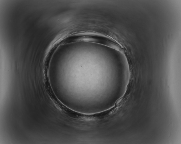 X0000085050245200703051423