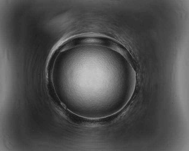 X0000085050246200703051423