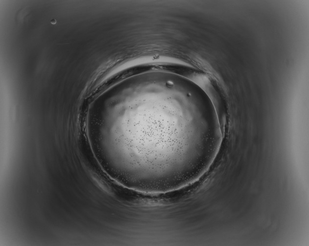X0000085050250200703051423