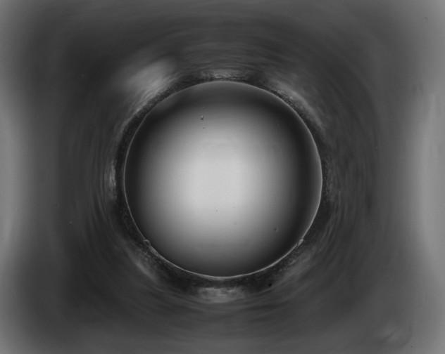 X0000085050251200703051423