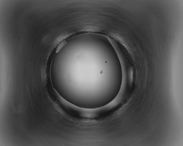 X0000085050252200703051423