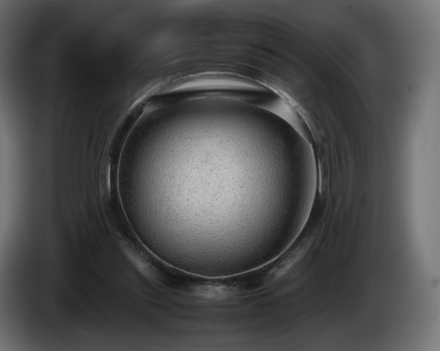 X0000085050253200703051423