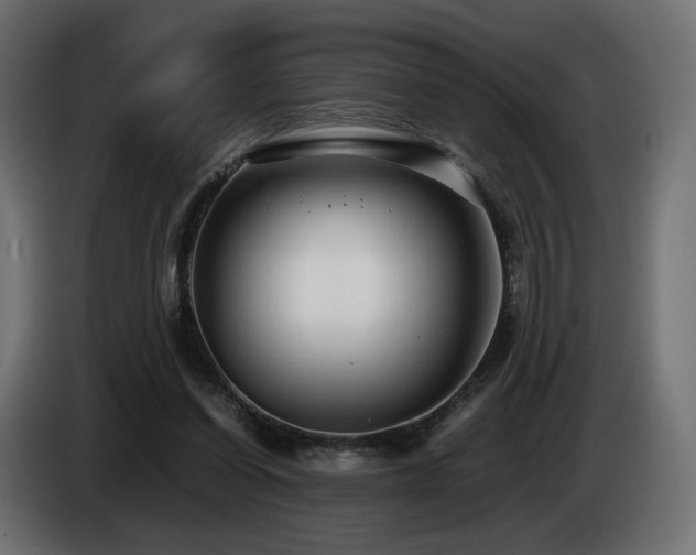 X0000085050254200703051423