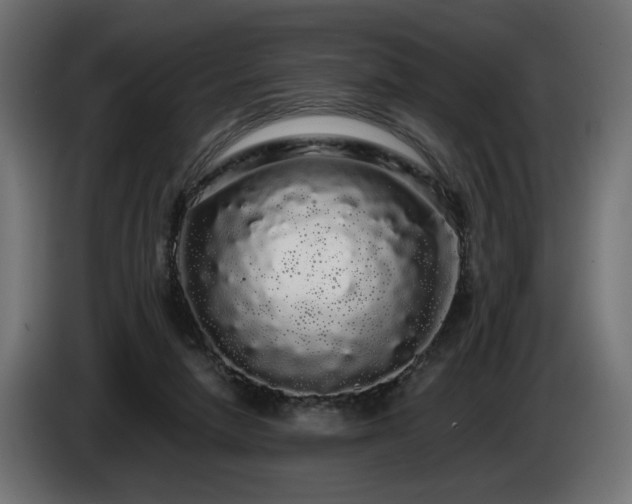 X0000085050258200703051423