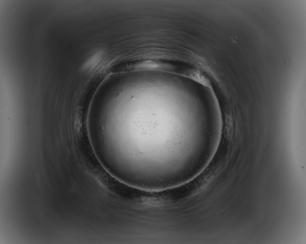 X0000085050259200703051423