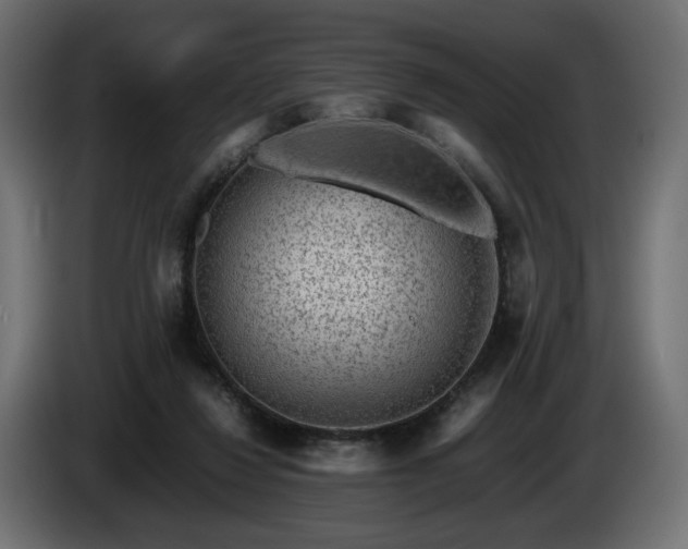 X0000085050260200703051423