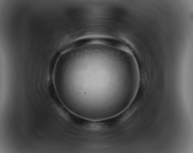 X0000085050261200703051423