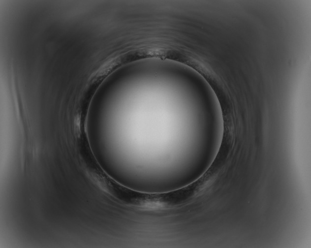X0000085050262200703051423