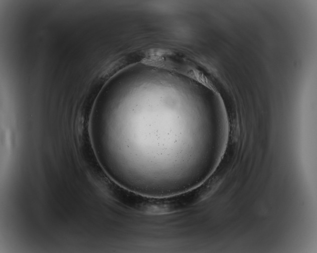 X0000085050263200703051423
