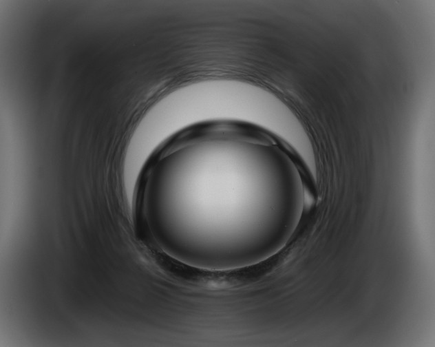 X0000085050264200703051423