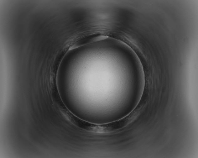 X0000085050265200703051423