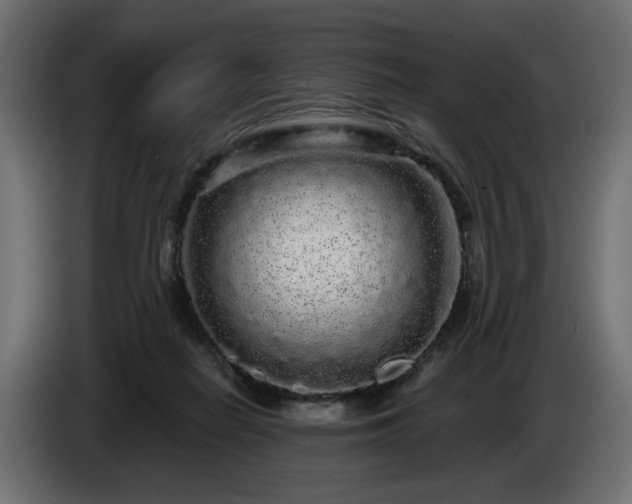 X0000085050266200703051423