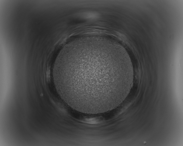 X0000085050267200703051424