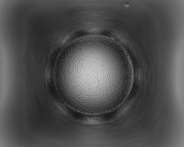 X0000085050268200703051424