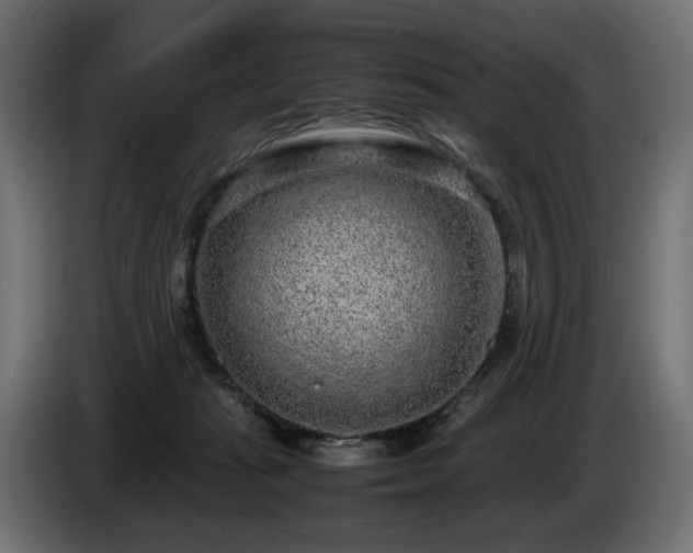 X0000085050269200703051424