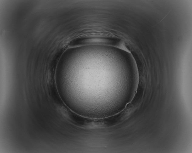 X0000085050270200703051424