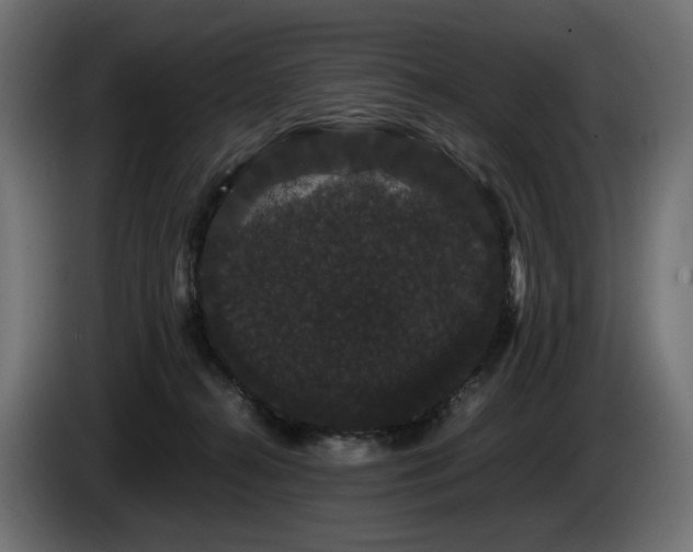 X0000085050272200703051424