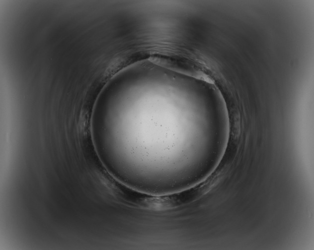 X0000085050273200703051424