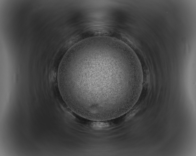 X0000085050281200703051424