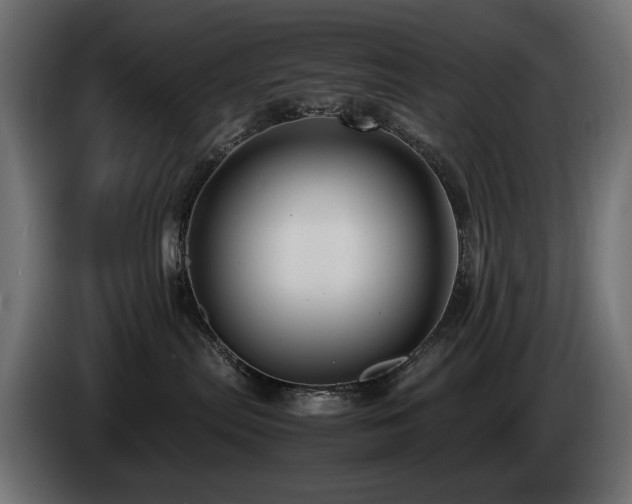X0000085050287200703051424