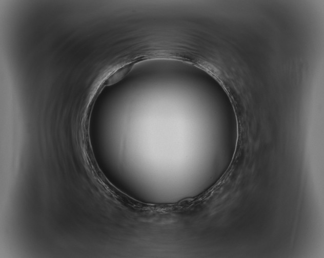X0000085050289200703051423