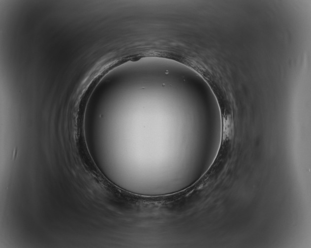 X0000085050291200703051423