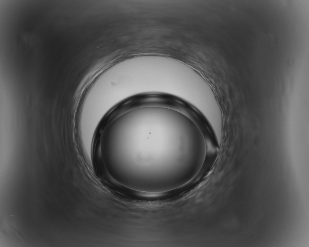 X0000085050293200703051423