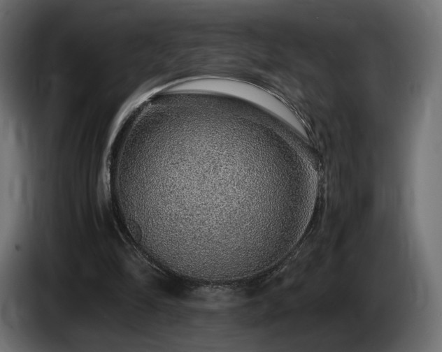 X0000085050294200703051423