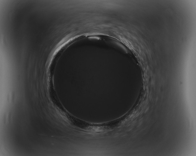 X0000085050295200703051423