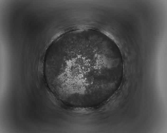 X0000085050297200703051423