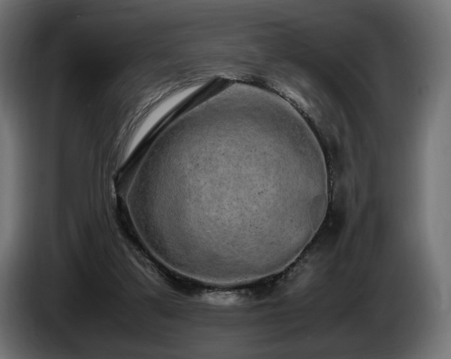 X0000085050299200703051423