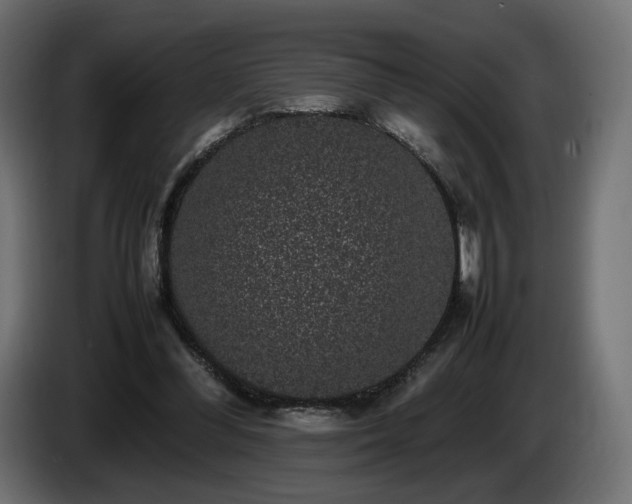 X0000085050300200703051423