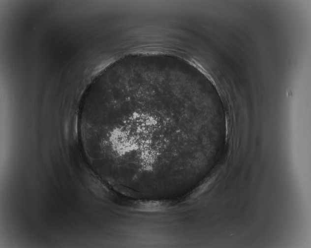 X0000085050301200703051423