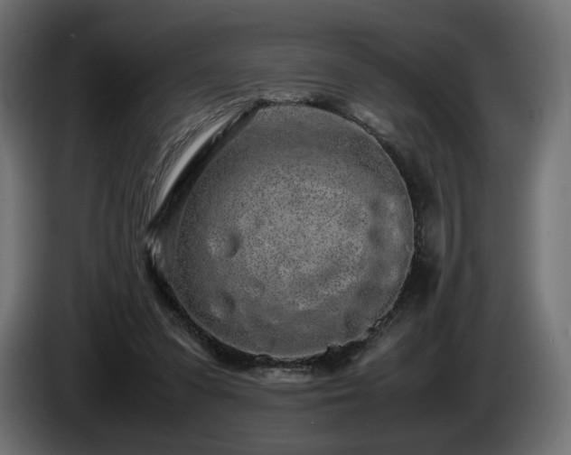 X0000085050303200703051423