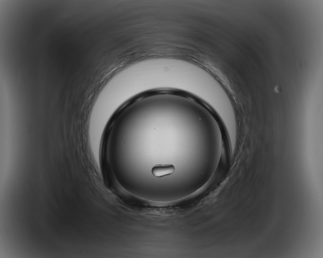 X0000085050305200703051423