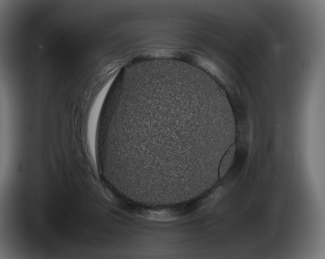 X0000085050309200703051423