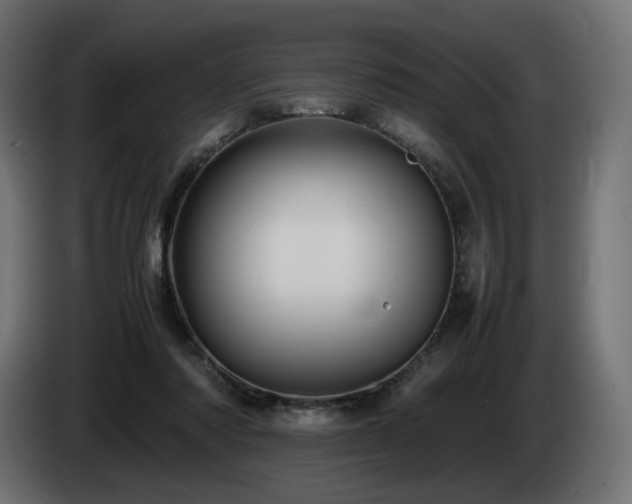 X0000085050310200703051423
