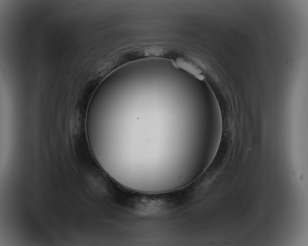 X0000085050311200703051423