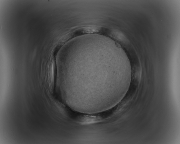 X0000085050315200703051423