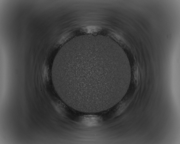 X0000085050316200703051423