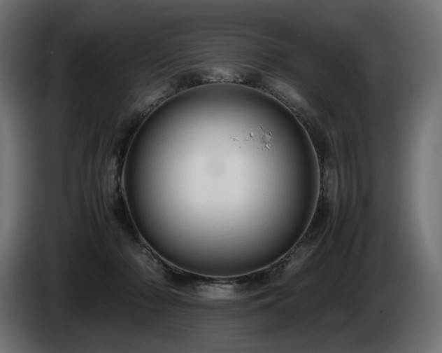 X0000085050318200703051423