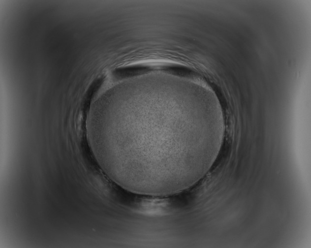 X0000085050319200703051423