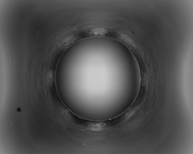 X0000085050321200703051423
