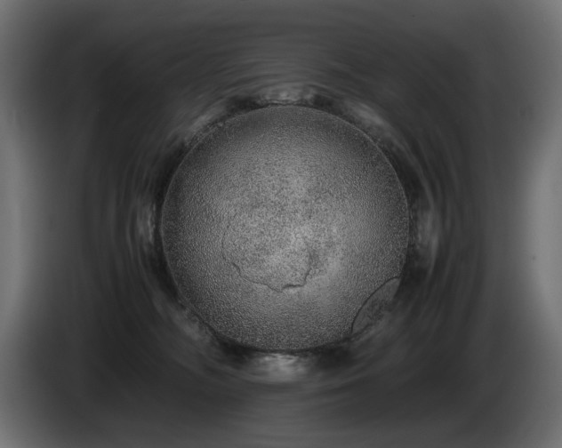 X0000085050326200703051423