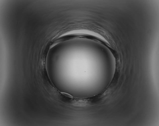 X0000085050329200703051423